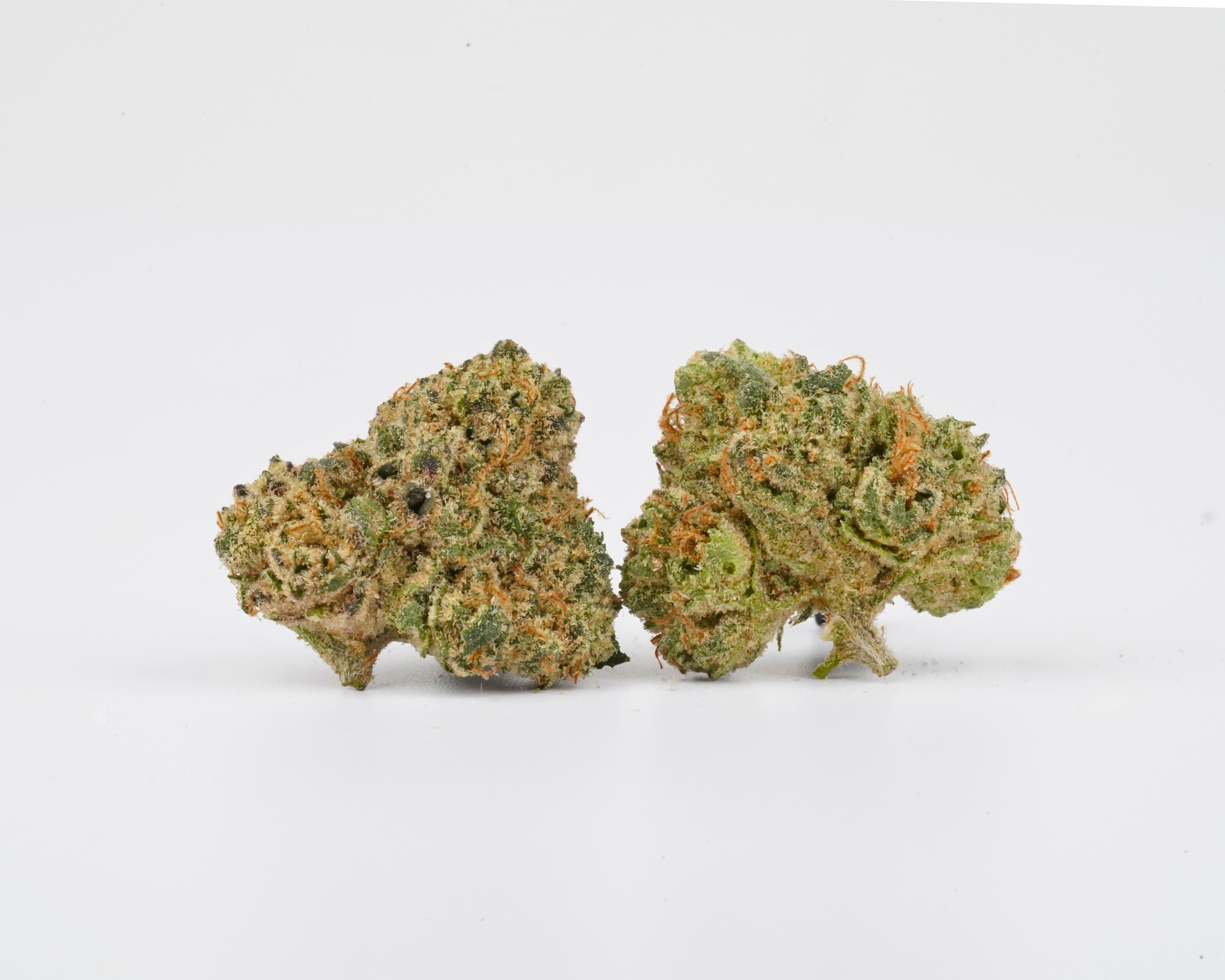Medicus FC Minis 24/1